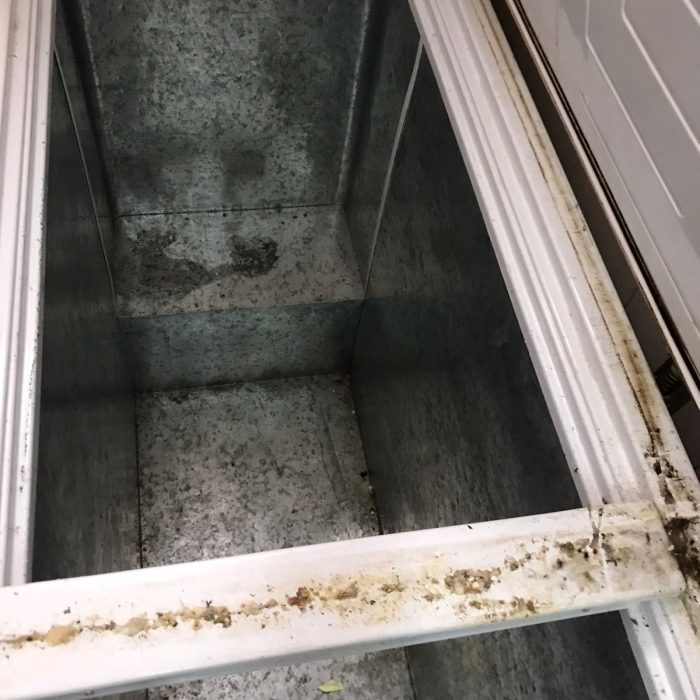 WhatsApp Image 2026-04-04 at 5.54.52 PM (1)