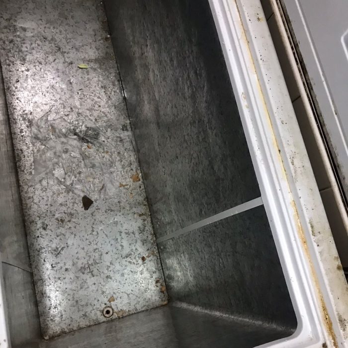 WhatsApp Image 2026-04-04 at 5.54.52 PM